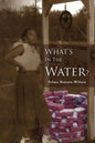 What's in the Water: Fannie, a Legacy of Love - Paperback