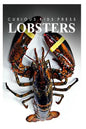 Lobster - Curious Kids Press: Kids book about animals and wildlife, Children's books 4-6 - Paperback