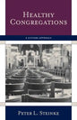 Healthy Congregations: A Systems Approach - Paperback