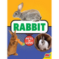 Rabbit - Library Binding
