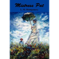 Mistress Pat: A Novel of Silver Bush - Paperback