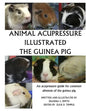 Animal Acupressure Illustration The Guinea Pig - Paperback