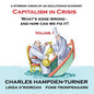 Capitalism in Crisis (Volume 1): What's gone wrong and how can we fix it? - Paperback