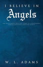 I Believe in Angels: The Miraculous True-Life Story of Catastrophic Vehicle Collision Survivor Ashley - Paperback