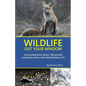 Wildlife Out Your Window: Fascinating Facts About 100 Animals Commonly Seen in the Northeastern U.S. - Paperback