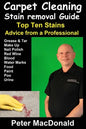 Carpet Cleaning Stain Removal Guide: Top Ten Stains, Advice From a Professional - Paperback