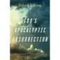 God's Apocalyptic Insurrection: A Post-Evangelical Theology of Salvation - Paperback