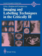 Imaging and Labelling Techniques in the Critically Ill - Paperback