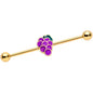 14G Gold Tone Sweet Purple Grapes Industrial Barbell 38mm