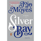 Silver Bay - Paperback
