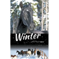 Winter with Horses - Paperback