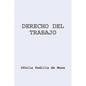 Derecho del Trabajo - Paperback