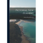 Pictorial New Zealand - Paperback