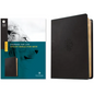 NLT Courage for Life Study Bible for Men, Filament Enabled (Leatherlike, Onyx Lion) - Imitation Leather