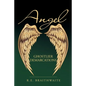 Angel: Ghostlier Demarcations - Paperback