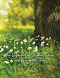 The Discontent of Brother Turnip and Grandfather Tree - Paperback