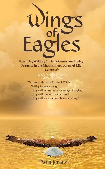 Wings of Eagles: Practicing Abiding in God'S Consistent Loving Presence in the Chaotic Floodwaters of Life (Devotional) - Paperback