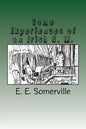 Some Experiences of an Irish R. M. - Paperback