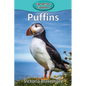 Puffins - Paperback