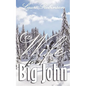 A Wife for Big John - Paperback