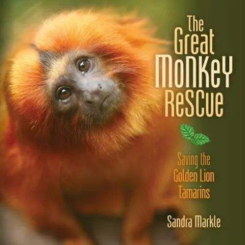 The Great Monkey Rescue: Saving the Golden Lion Tamarins - Library Binding