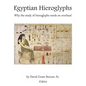 Egyptian Hieroglyphs: Why the study of Egyptian hieroglyphs needs an overhaul - Paperback