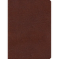 KJV Study Bible, Large Print Edition, Brown Bonded Leather - Bonded Leather