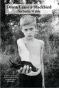 Down Came a Blackbird - Hardcover