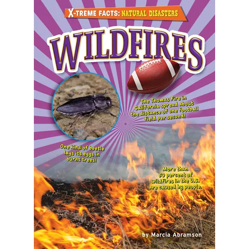 Wildfires - Library Binding