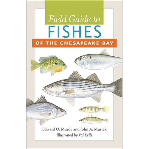 Field Guide to Fishes of the Chesapeake Bay - Paperback