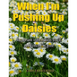 When I'm Pushing Up Daisies: Important Information You'll Need Once I've Gone - Paperback