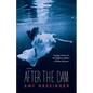 After the Dam - Paperback