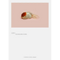 Robert Zhao Renhui: A Guide to the Flora and Fauna of the World: Steidl Book Award Asia 2017 - Hardcover