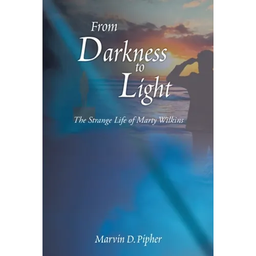 From Darkness to Light: The Strange Life of Marty Wilkins - Paperback