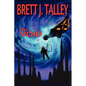 The Void - Paperback