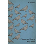 Pigeons and How to Keep Them - Paperback