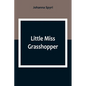 Little Miss Grasshopper - Paperback