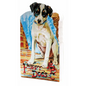 Puppy Dog's ABC Shape Book - Hardcover