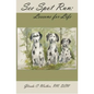 See Spot Run: Lessons for Life - Paperback