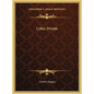 Celtic Druids - Hardcover