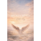 Broken Wings Still Fly - Paperback