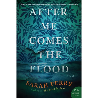 After Me Comes the Flood - Paperback
