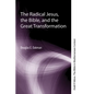 The Radical Jesus, the Bible, and the Great Transformation - Hardcover