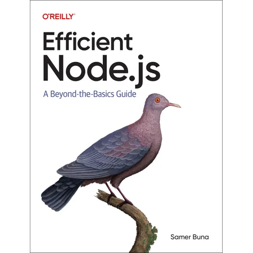 Efficient Node.Js: A Beyond-The-Basics Guide - Paperback