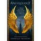 Angelology (Spanish Edition) - Paperback