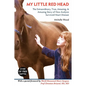 My Little Red Head: The Extraordinary, True, Amazing and Amusing Story of How Avelynn Survived Heart Disease. - Paperback