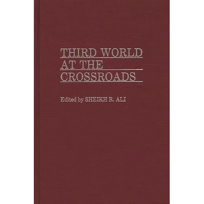 Third World at the Crossroads - Hardcover