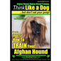 Afghan Hound, Afghan Hound Training Think Like a Dog But Don't Eat Your Poop! Afghan Hound Breed Expert Training: Here's EXACTLY How To TRAIN Your Afg - Paperback