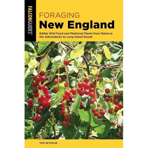 Foraging New England - Paperback