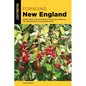 Foraging New England - Paperback